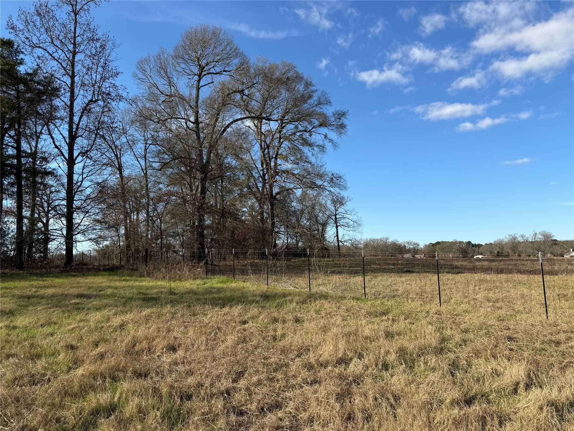 1.04 acres in Smith County gallery image 4