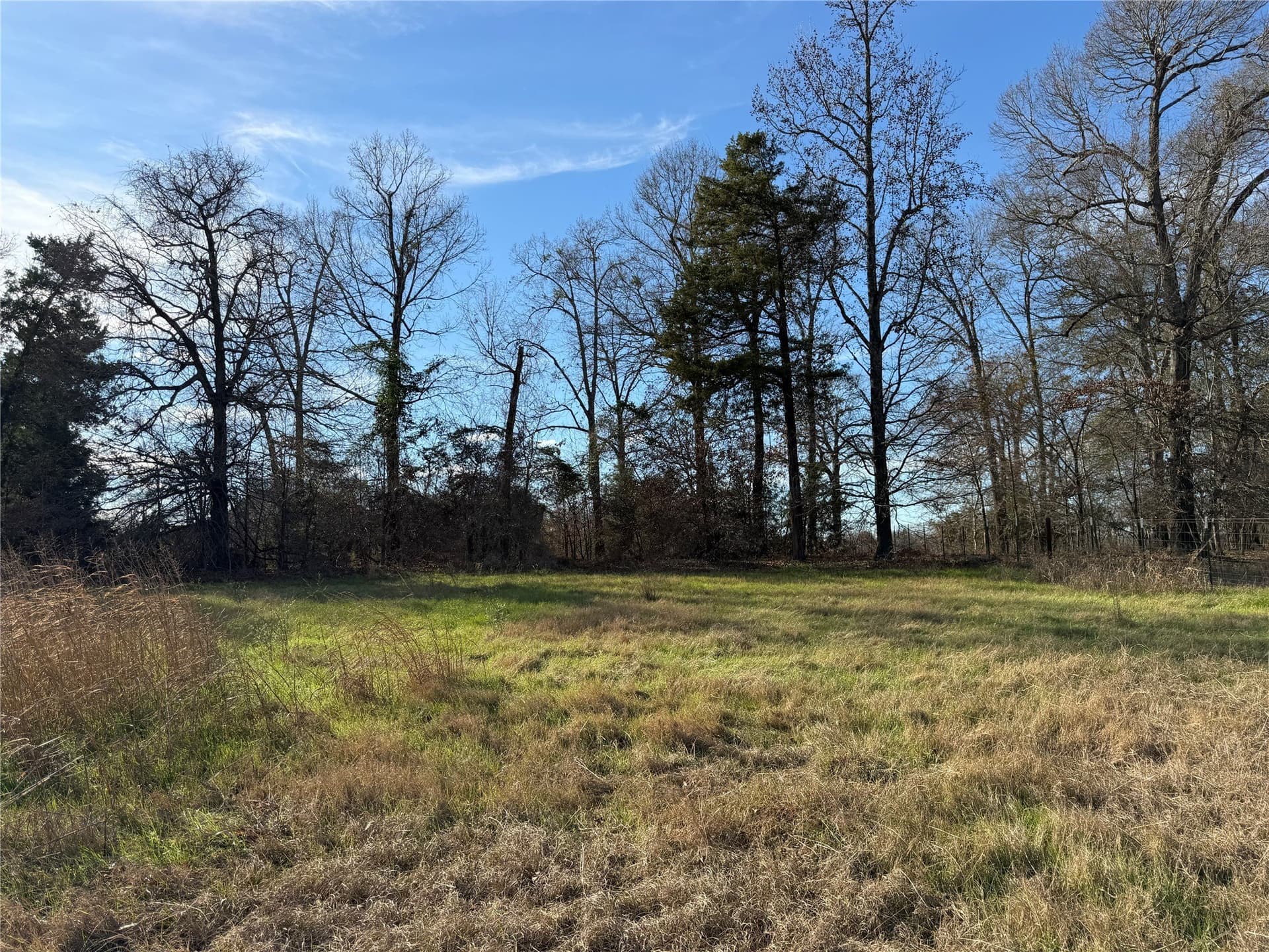 1.04 acres in Smith County gallery image 3
