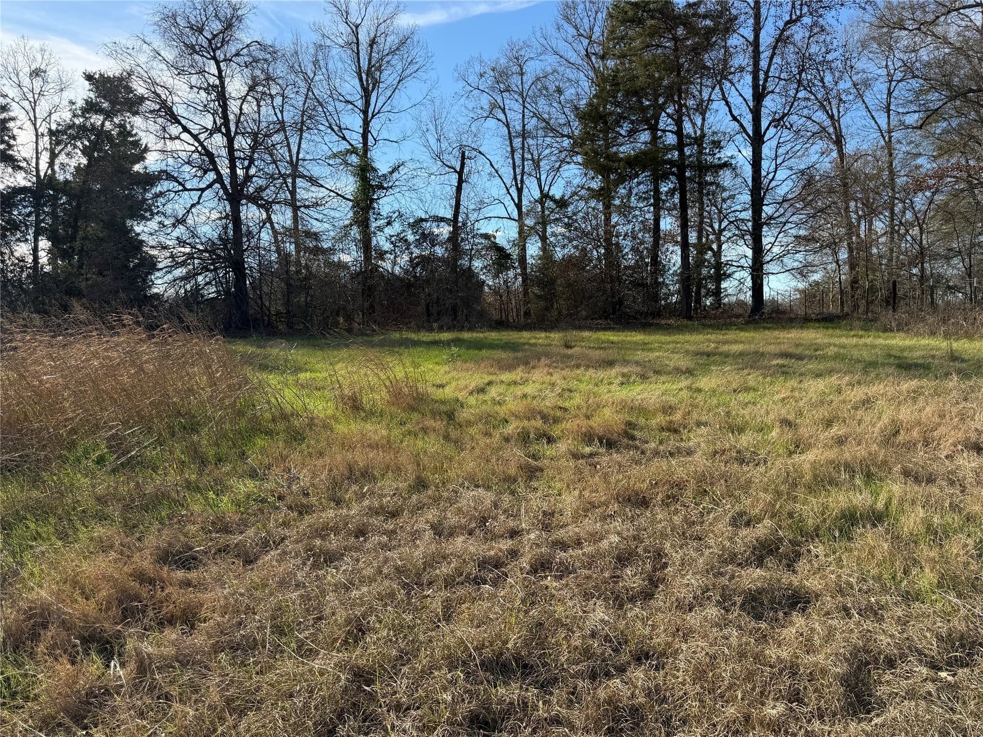 1.04 acres in Smith County featured view