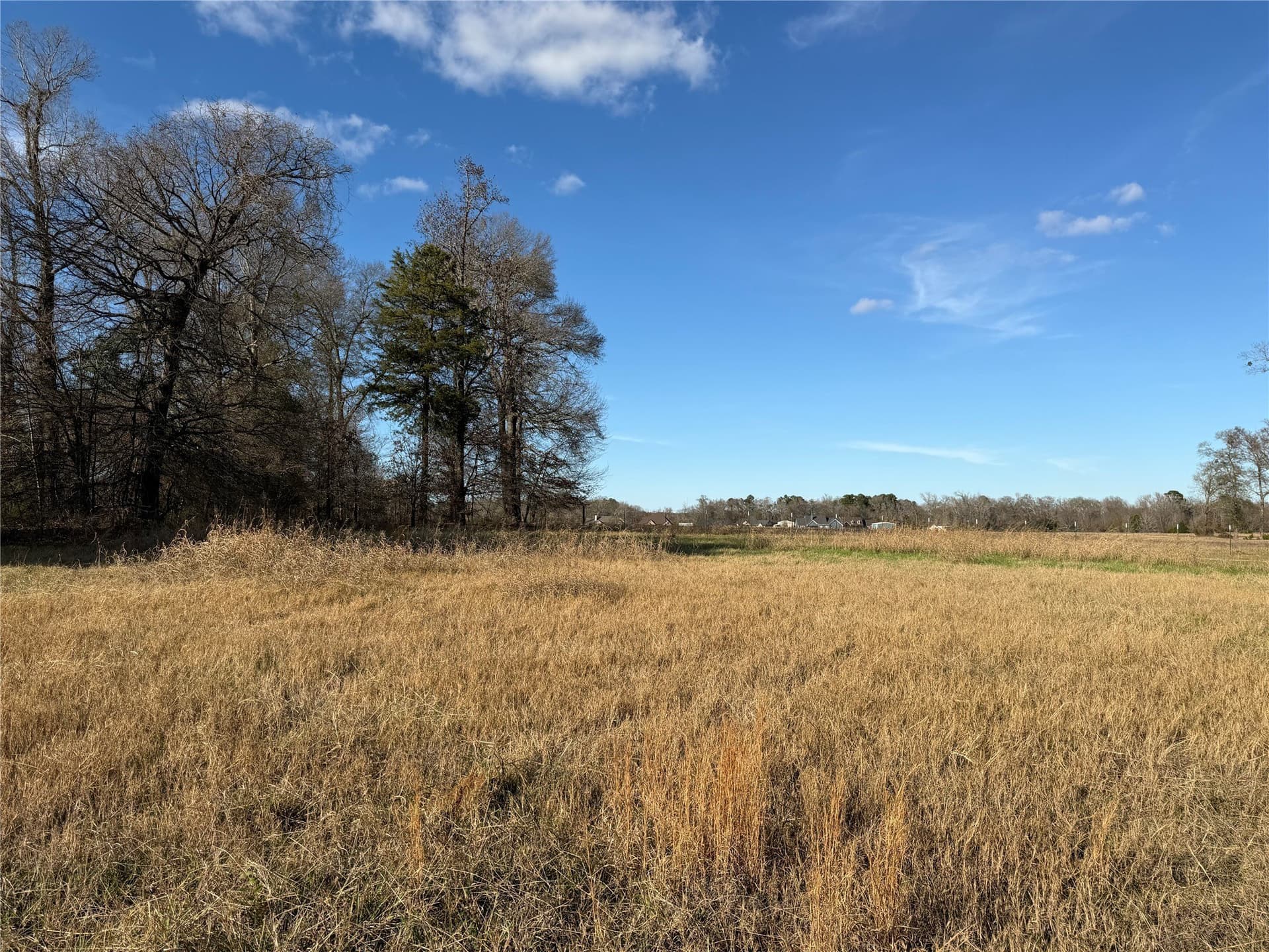 1.04 acres in Smith County gallery image 2