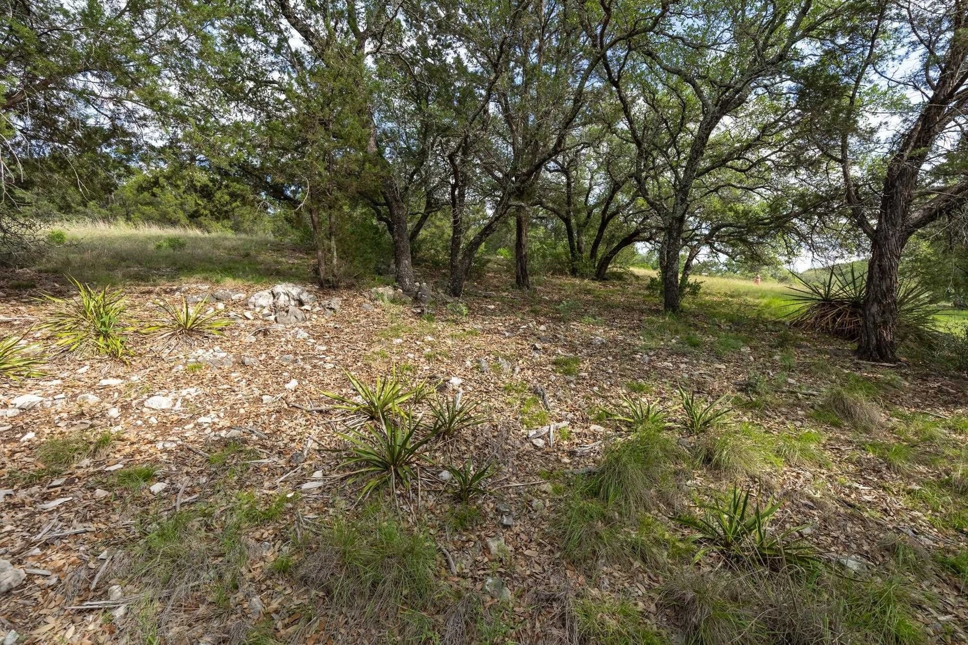 0.23 acres in Llano County - photo 11