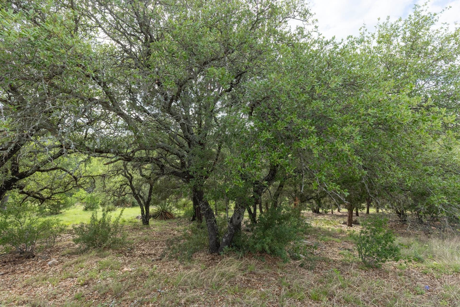 0.23 acres in Llano County - photo 8