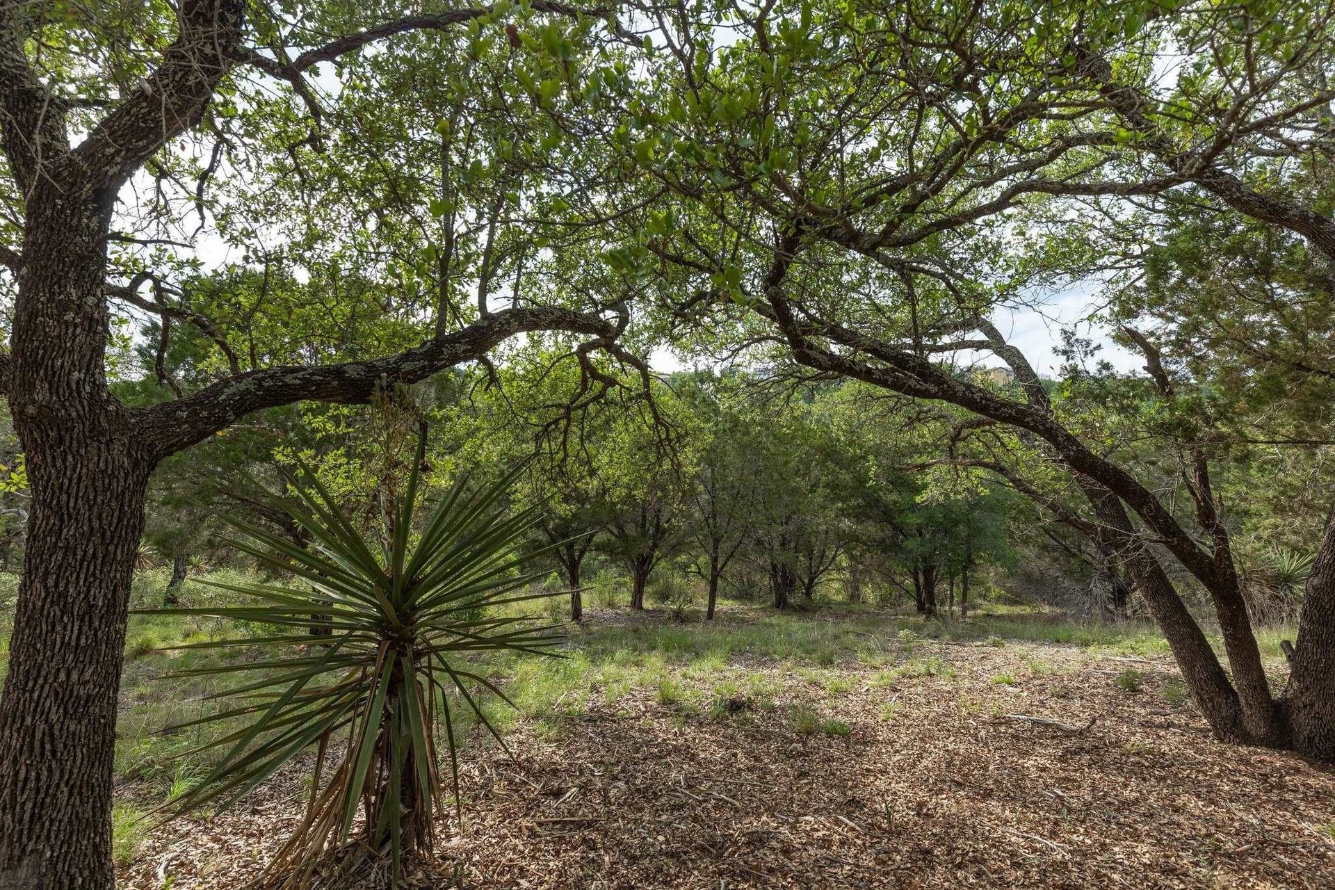 0.23 acres in Llano County - photo 12