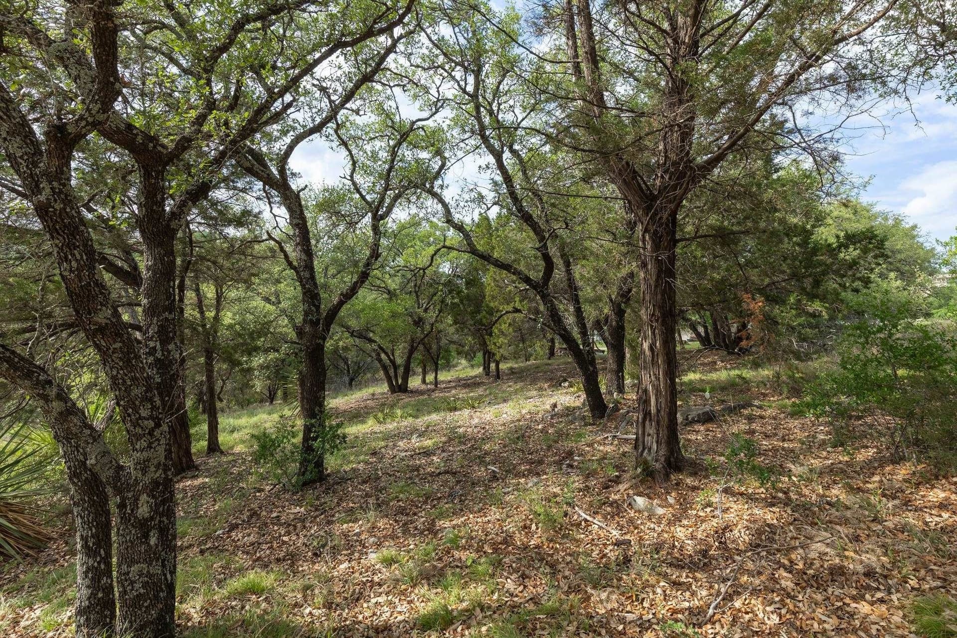 0.23 acres in Llano County - photo 10