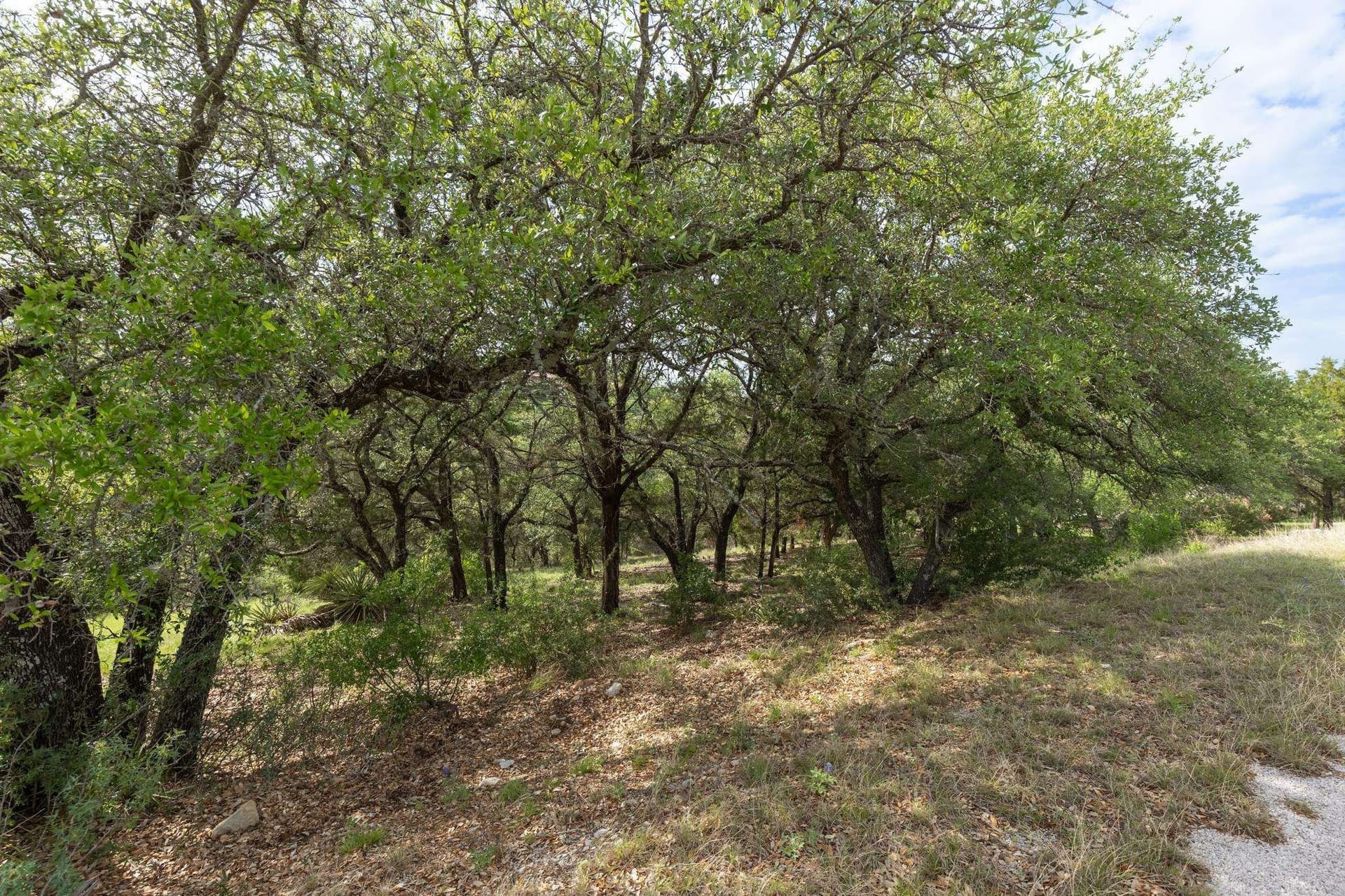 0.23 acres in Llano County - photo 9