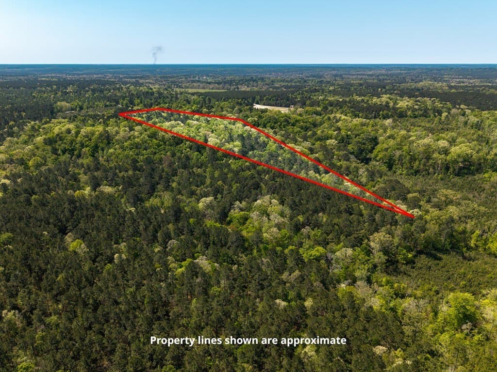 20 acres in Texas County - photo 8