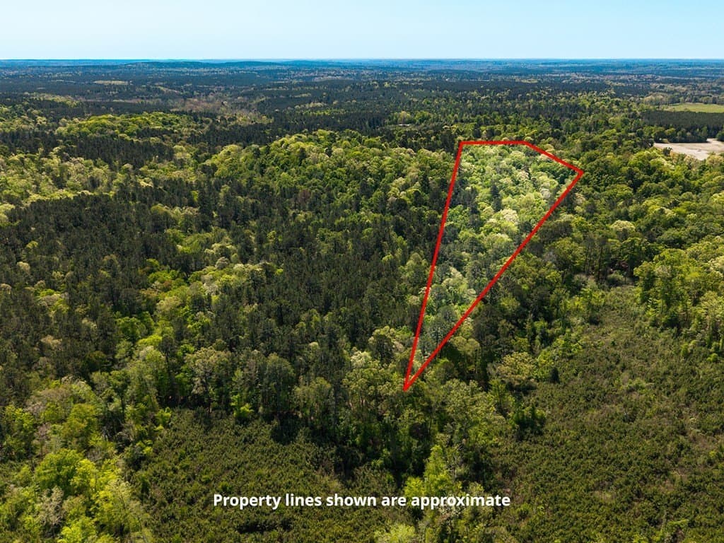 20 acres in Texas County - photo 7