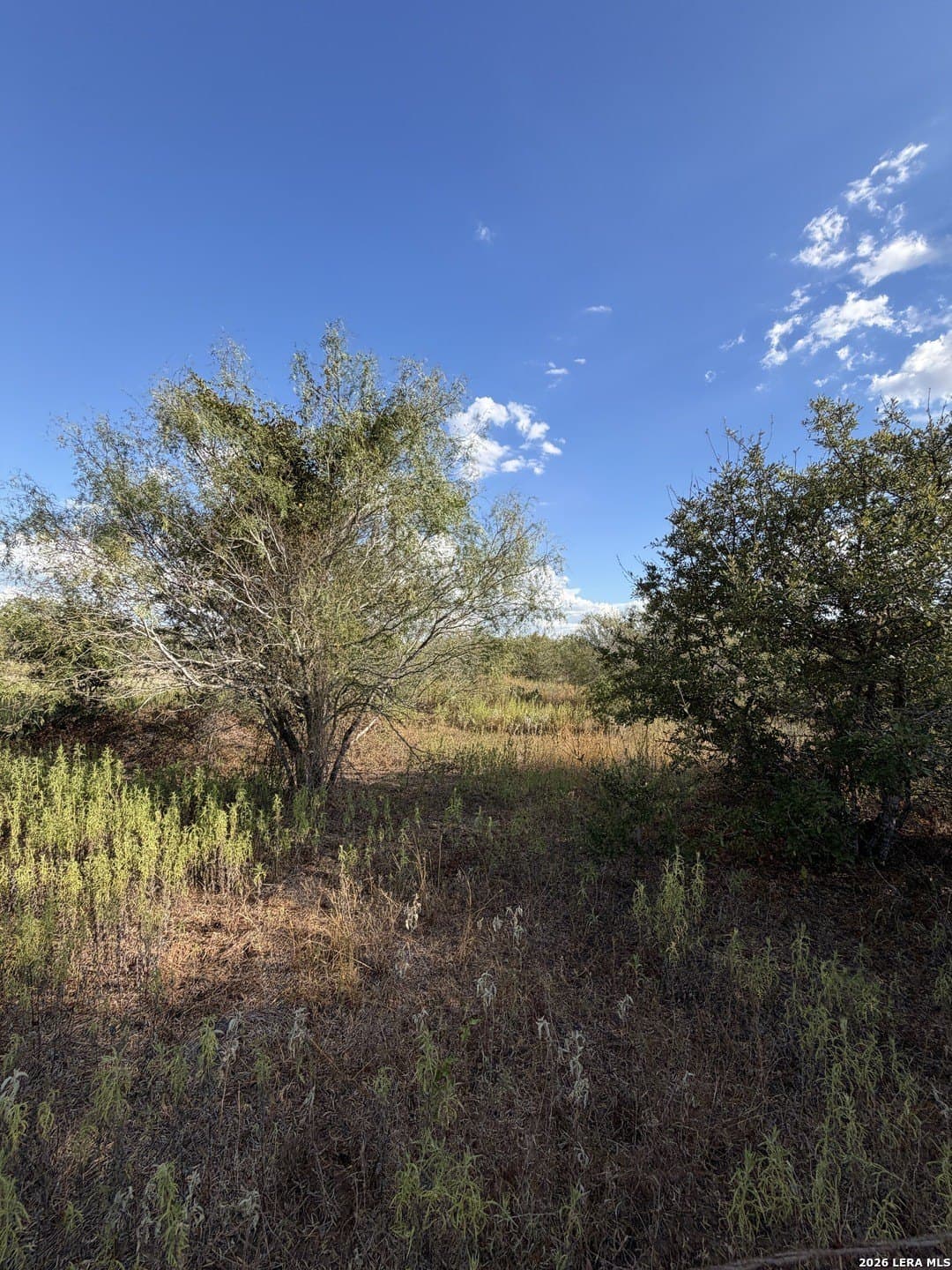 15.07 acres in Guadalupe County