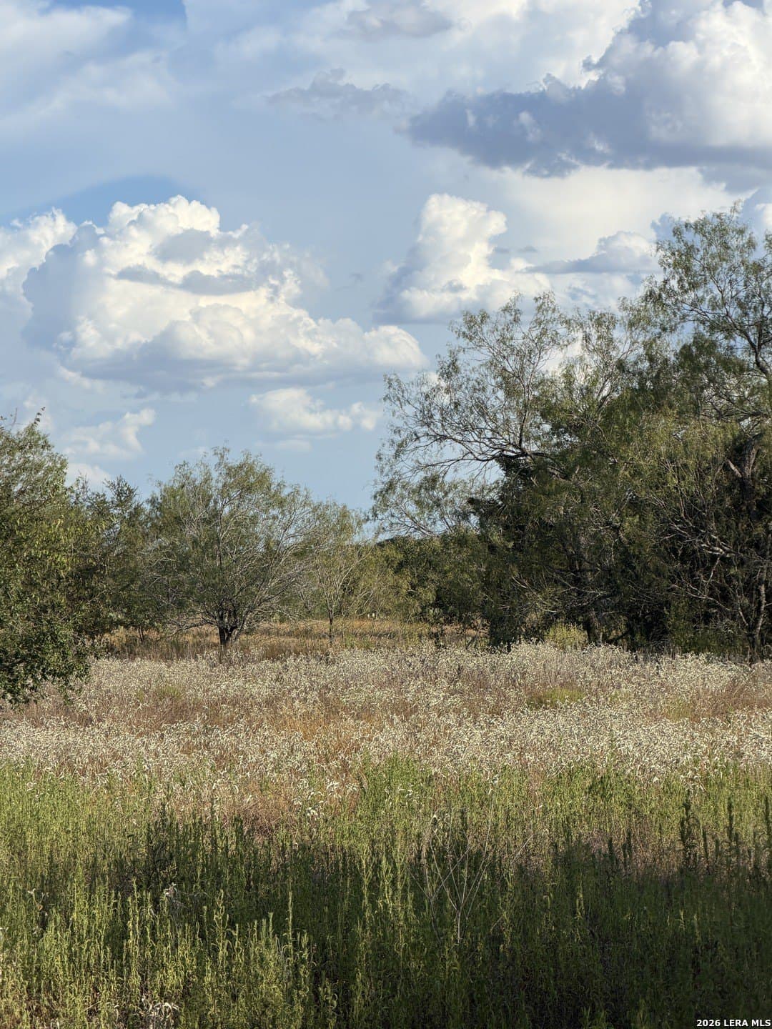 15.07 acres in Guadalupe County - photo 2