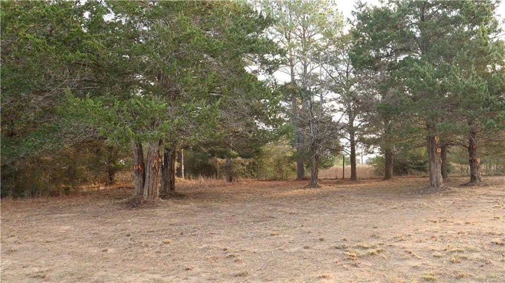 0.24 acres in COLORADO County - photo 5