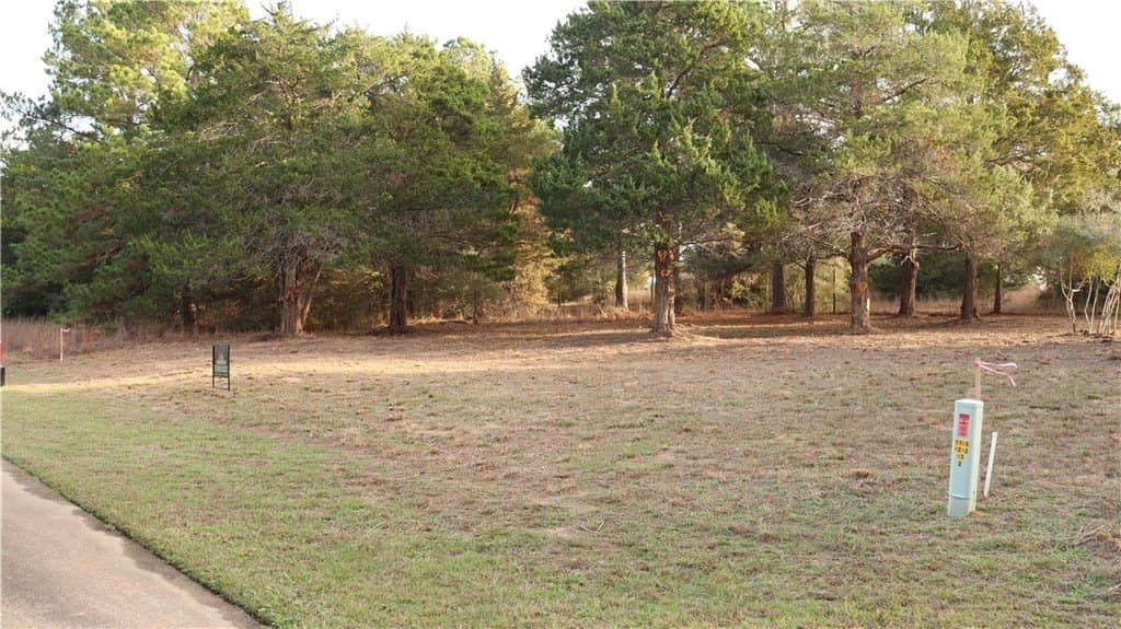 0.24 acres in COLORADO County - photo 7
