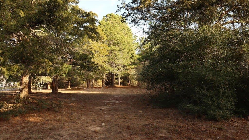 0.24 acres in COLORADO County - photo 8