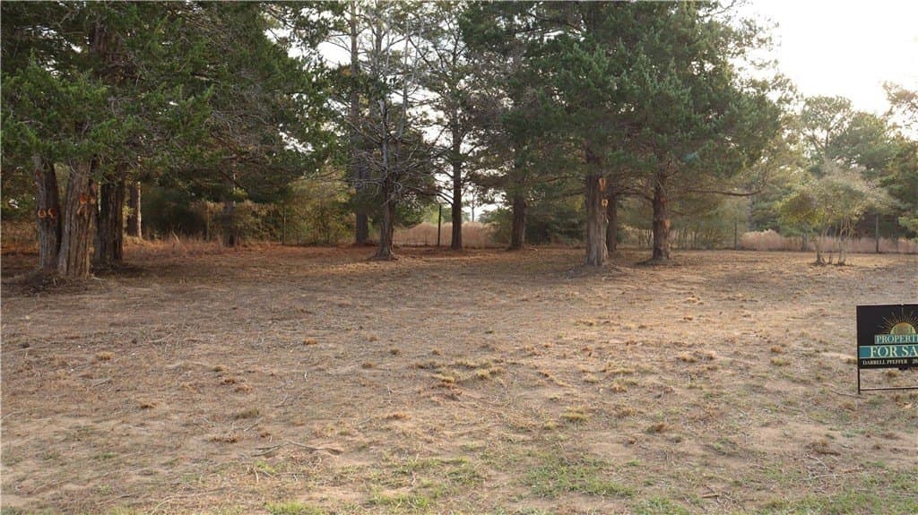 0.24 acres in COLORADO County - photo 6