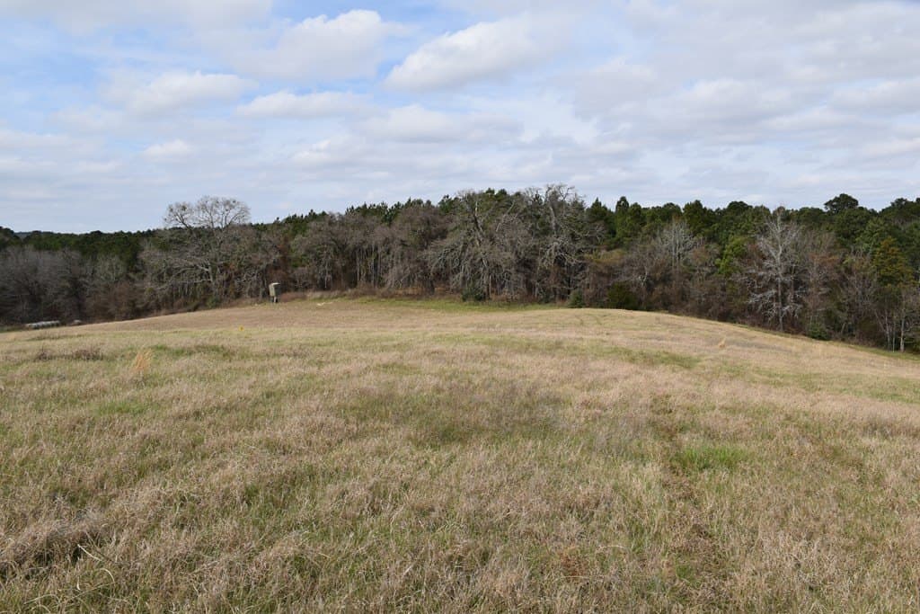 33 acres in ANDERSON County - photo 5