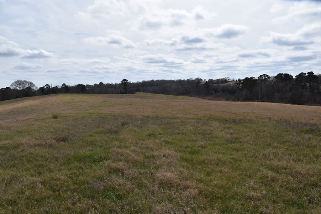 33 acres in ANDERSON County - photo 8