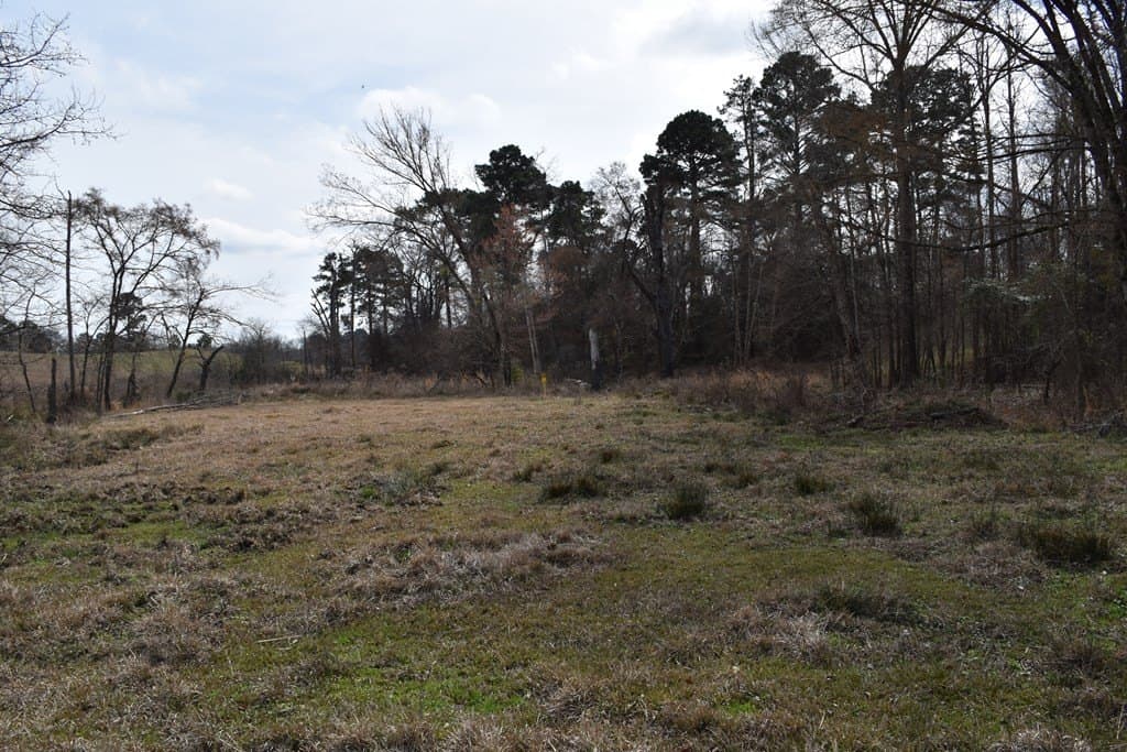 33 acres in ANDERSON County - photo 23