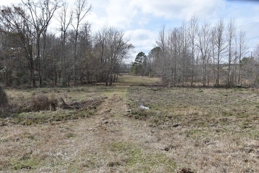 33 acres in ANDERSON County - photo 18