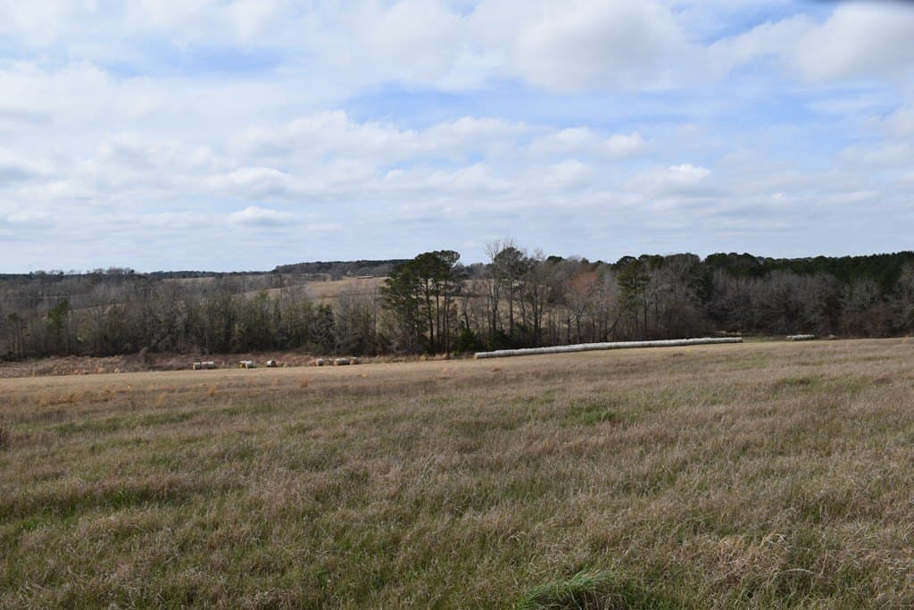 33 acres in ANDERSON County - photo 9