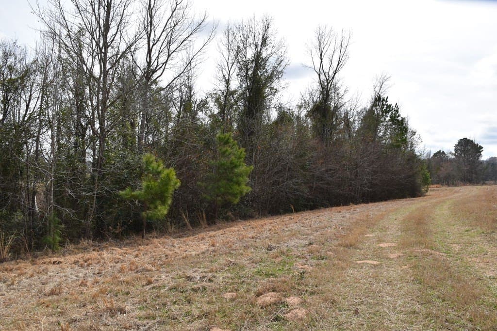 33 acres in ANDERSON County - photo 17