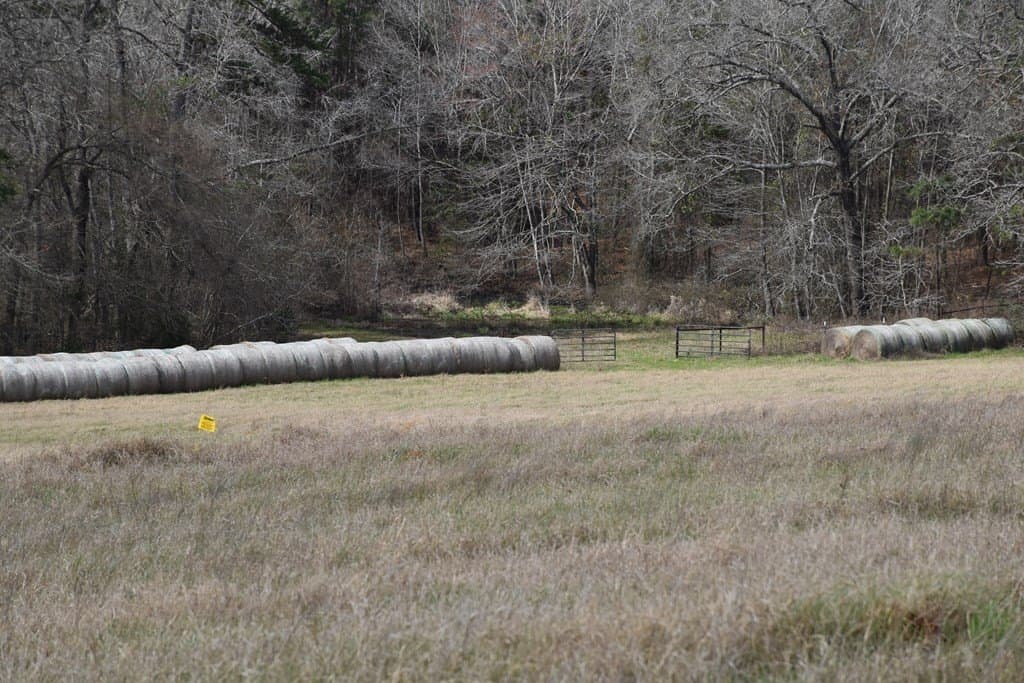 33 acres in ANDERSON County - photo 11