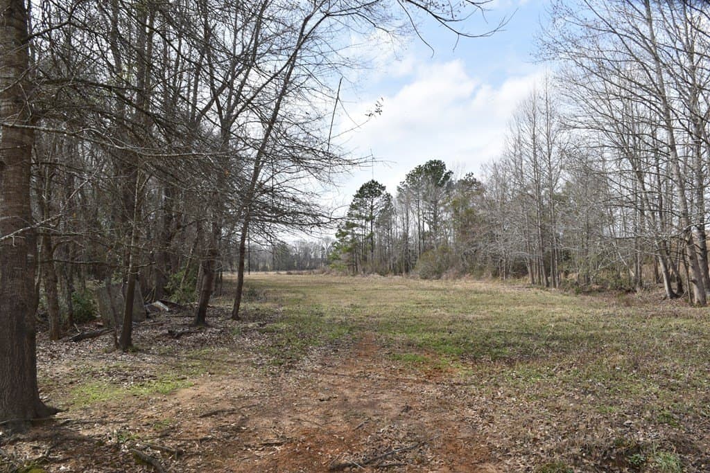 33 acres in ANDERSON County - photo 22