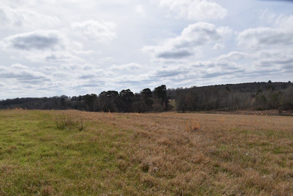 33 acres in ANDERSON County - photo 13