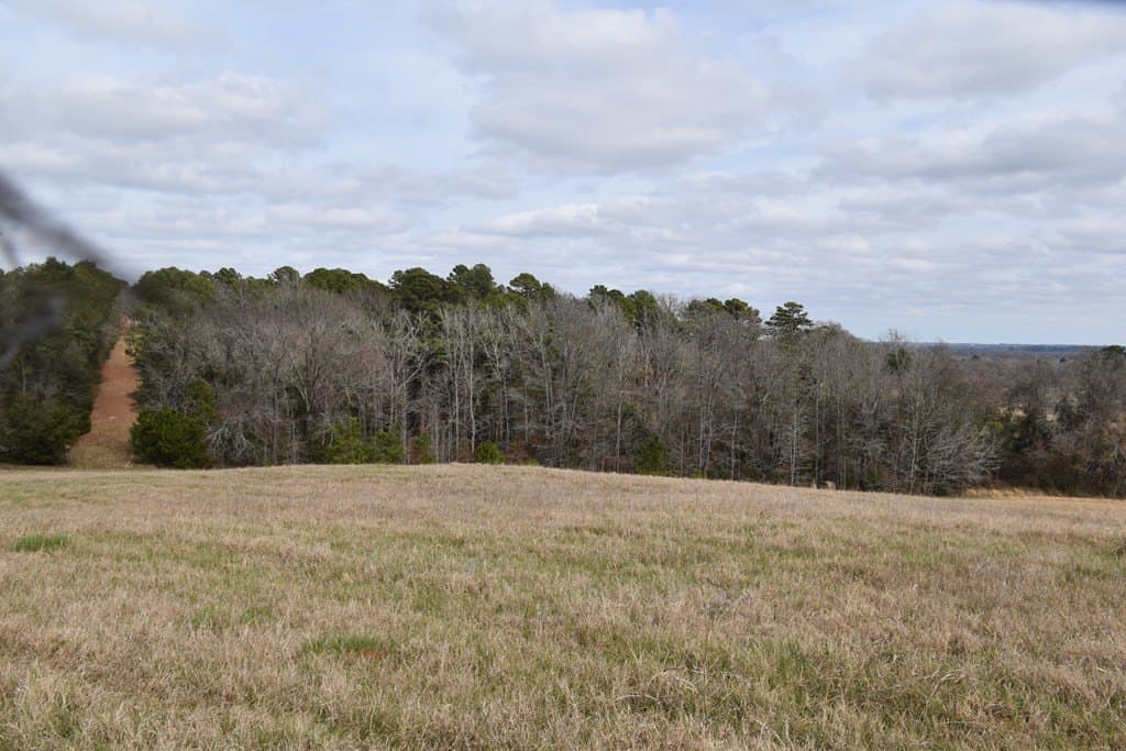 33 acres in ANDERSON County - photo 4