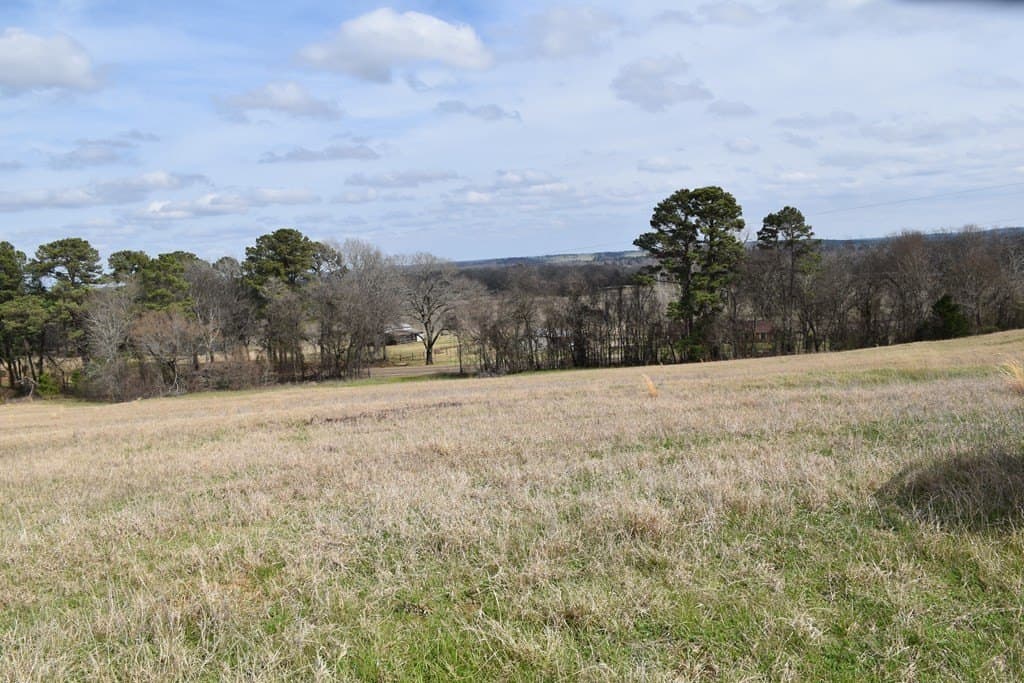 33 acres in ANDERSON County - photo 27