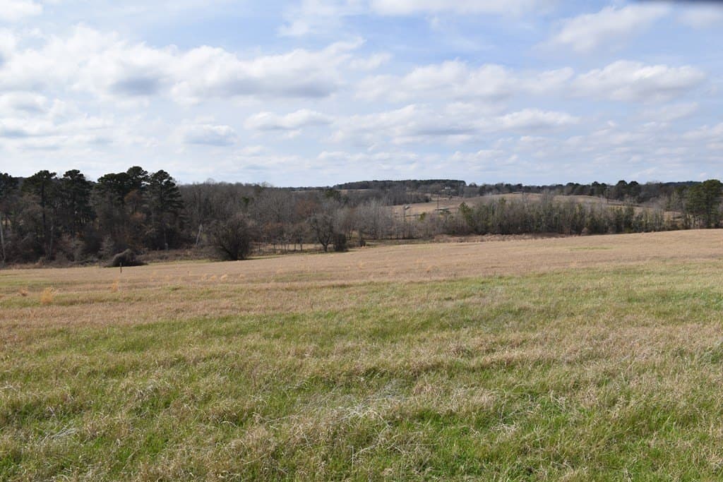 33 acres in ANDERSON County - photo 24