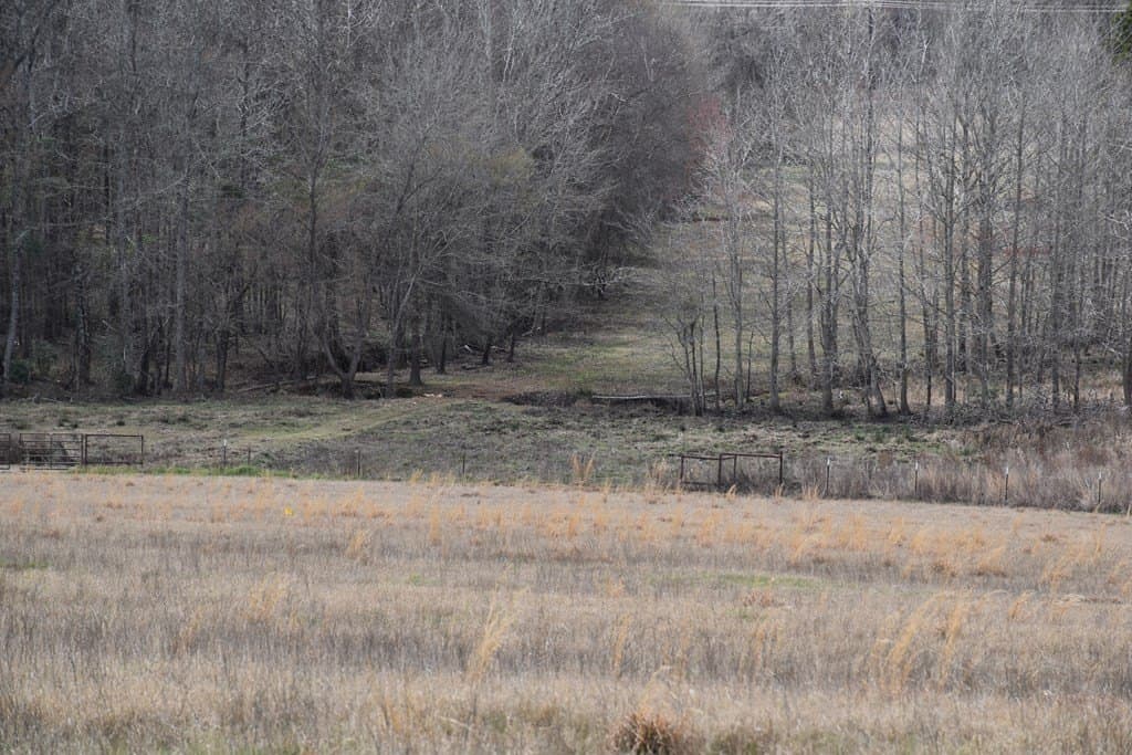 33 acres in ANDERSON County - photo 10