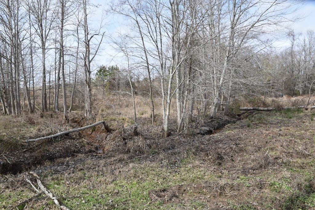 33 acres in ANDERSON County - photo 19