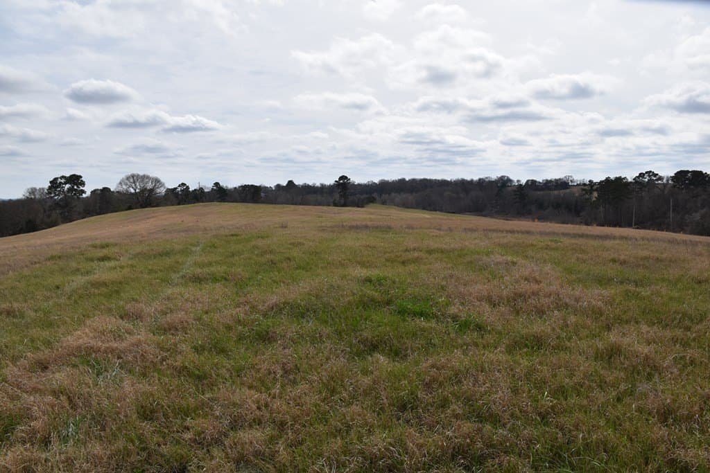 33 acres in ANDERSON County - photo 2