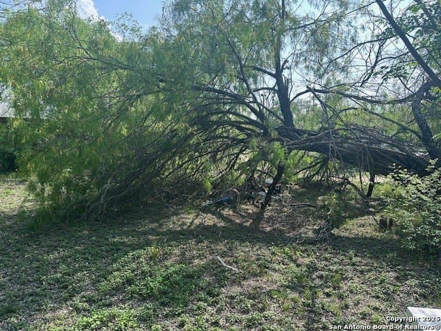 0.18 acres in Medina County gallery image 3