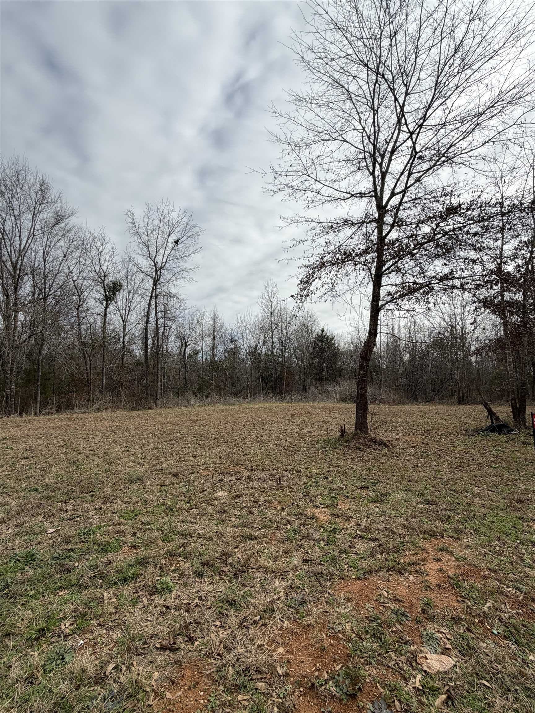 1.25 acres in Texas County