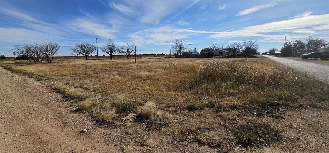 0.32 acres in Crosby County gallery image 2