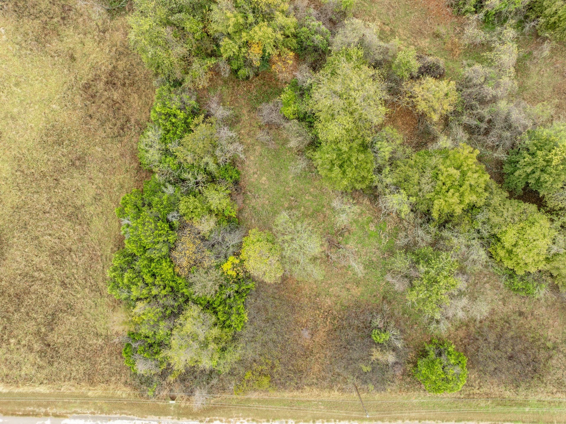 0.26 acres in Hill County - photo 4