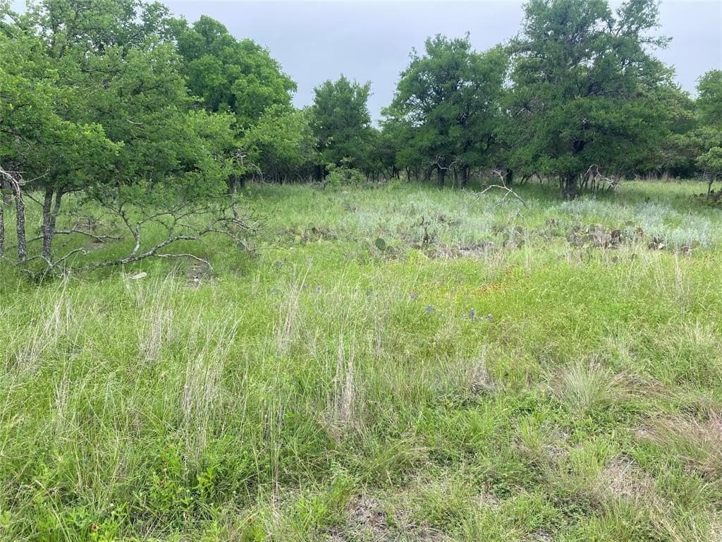 1.33 acres in Brown County gallery image 4