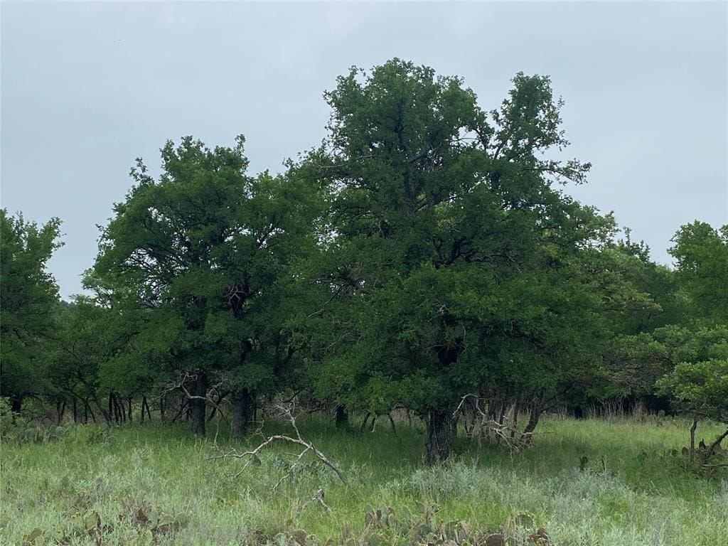 1.33 acres in Brown County gallery image 2