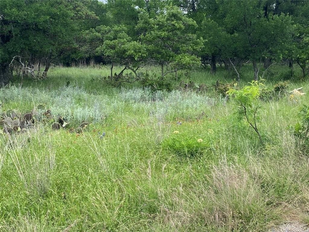 1.33 acres in Brown County gallery image 3