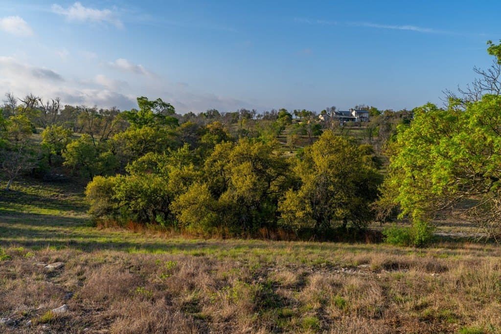 56.02 acres in Gillespie County - photo 69