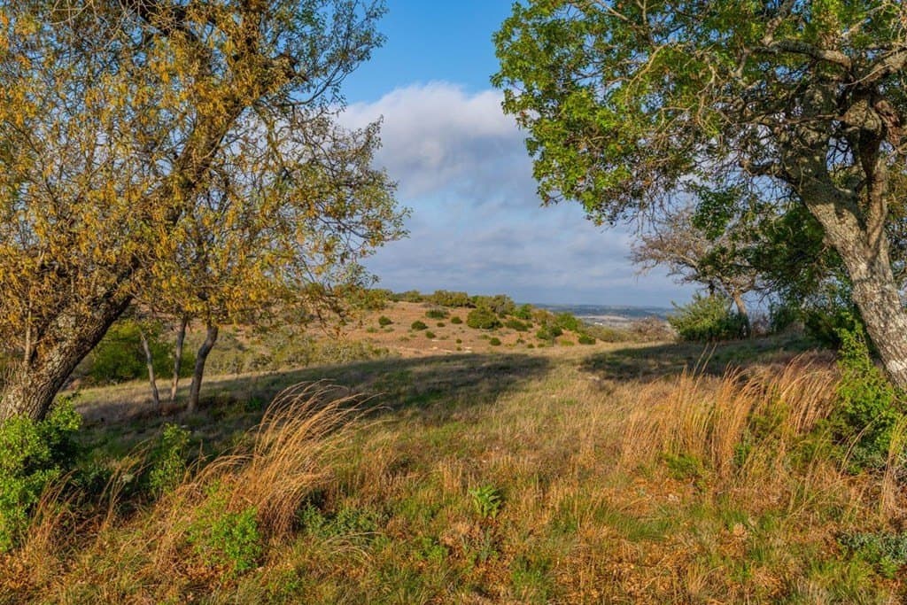 56.02 acres in Gillespie County - photo 68