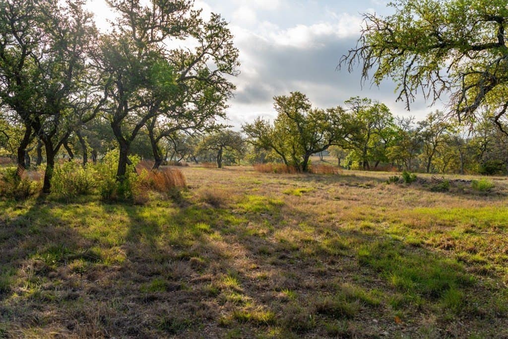 56.02 acres in Gillespie County - photo 65
