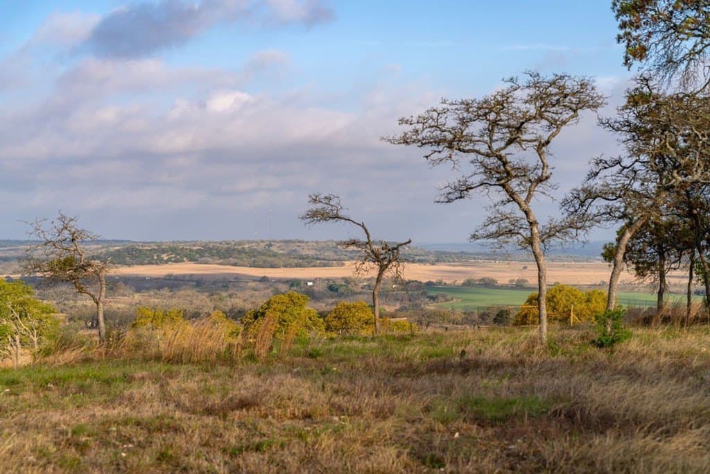 56.02 acres in Gillespie County - photo 66