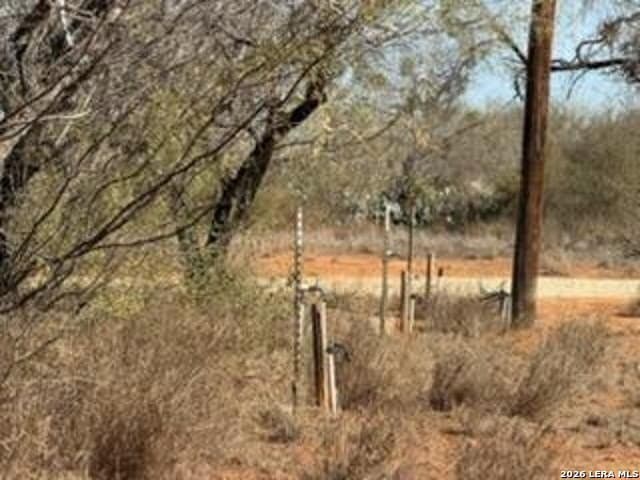 10 acres in Frio County - photo 10