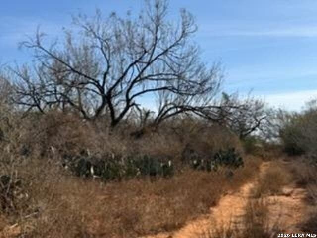 10 acres in Frio County - photo 11