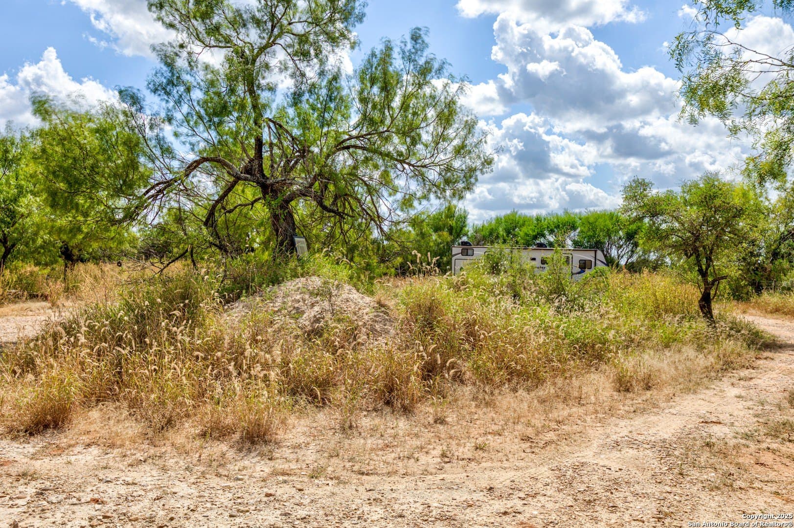 10 acres in Frio County gallery image 2