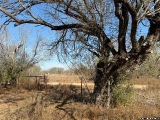 10 acres in Frio County - photo 9