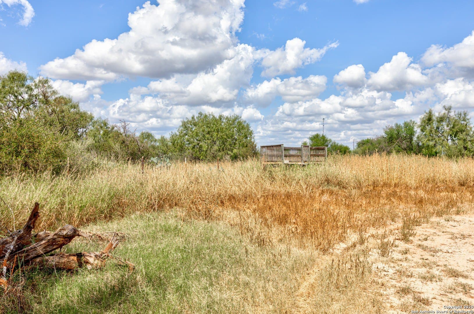 10 acres in Frio County - photo 6