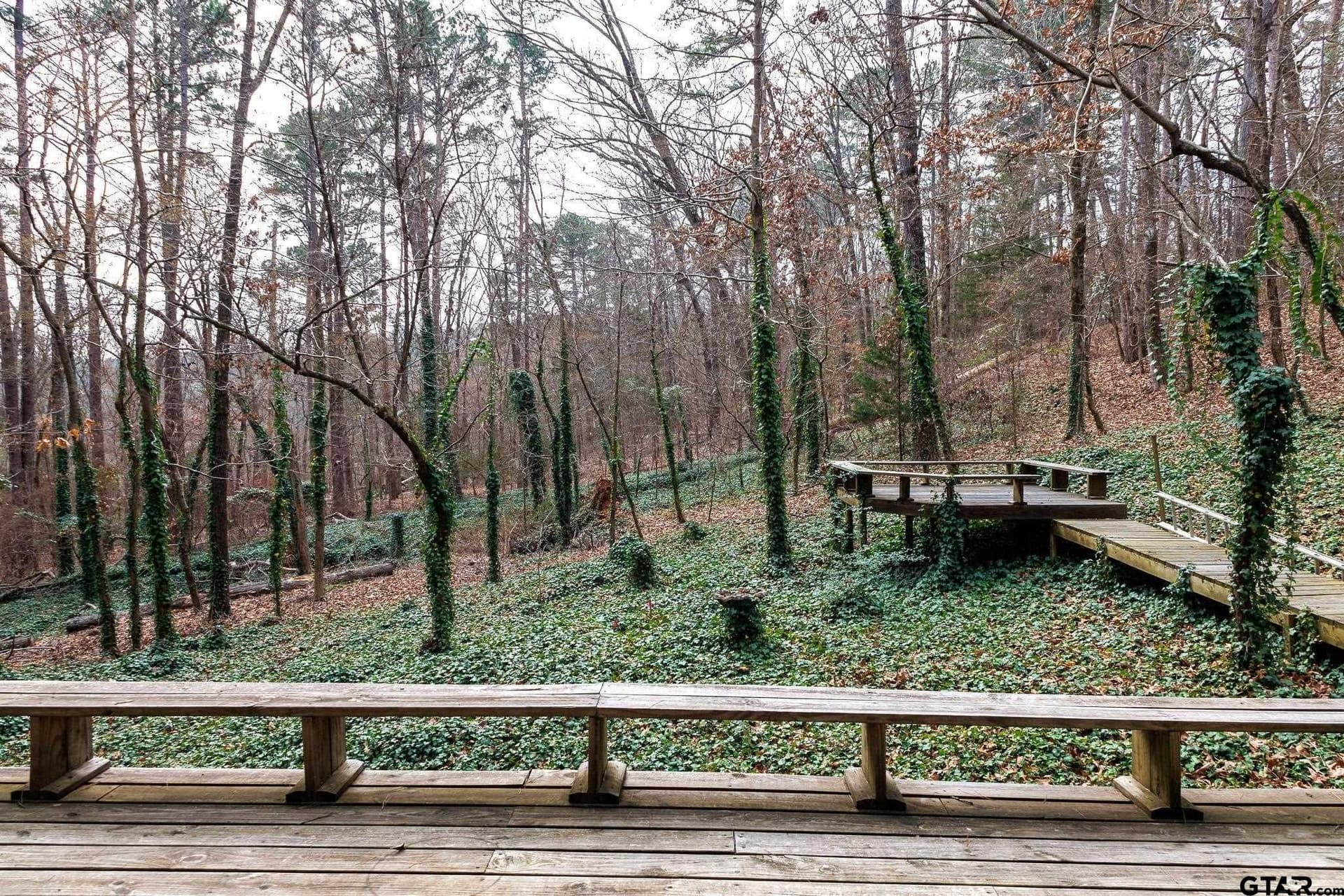 25 acres in Smith County gallery image 4
