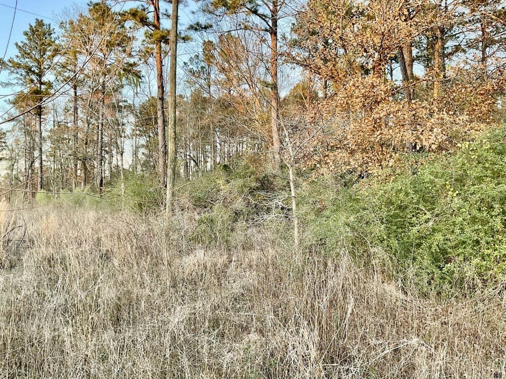 2.21 acres in Texas County - photo 8